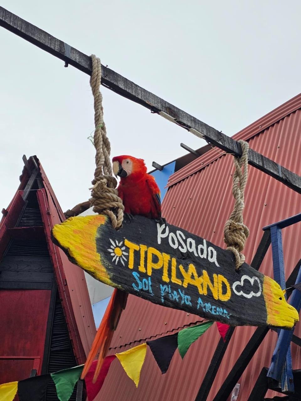 Hotel Tipiland Baru La Casa Del Mono Playa Blanca Esterno foto